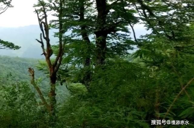 救援工程师
